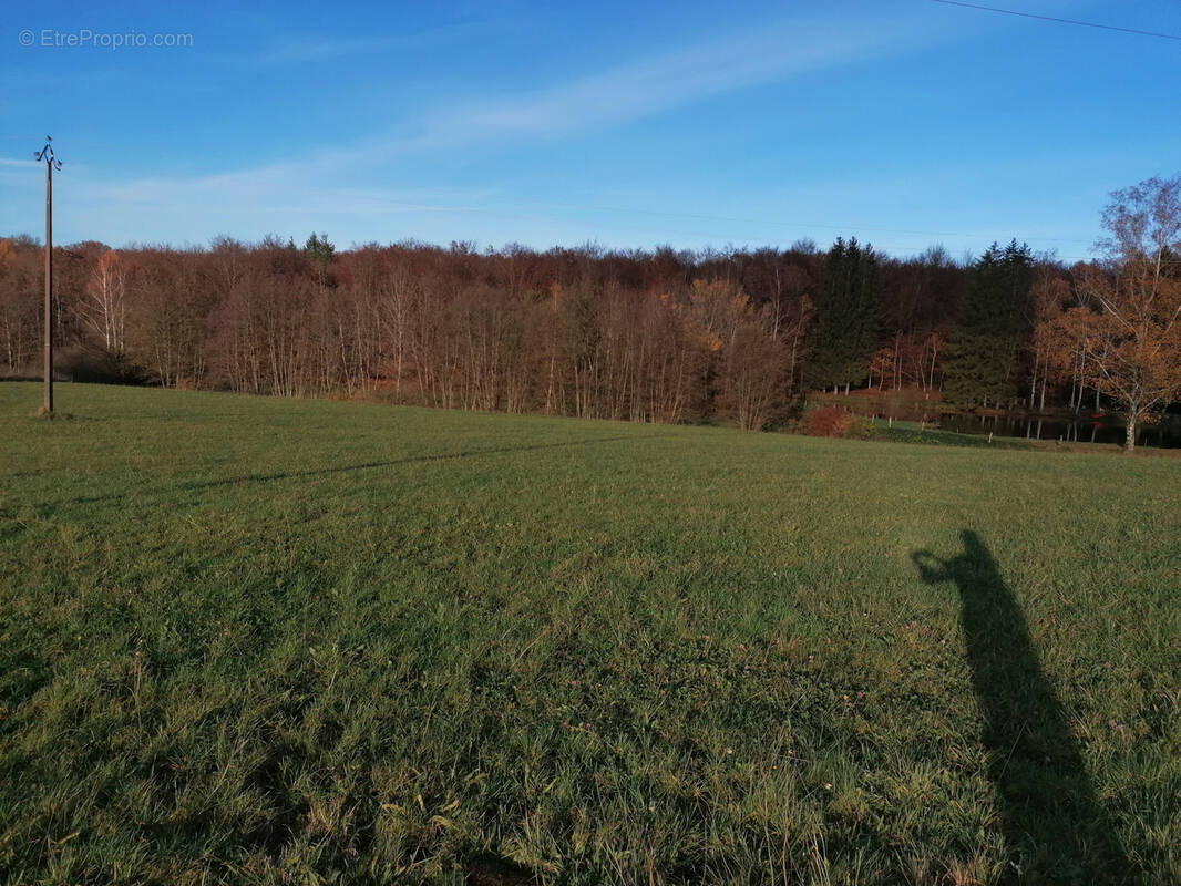 Terrain à LA BRUYERE