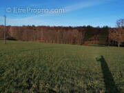 Terrain à LA BRUYERE