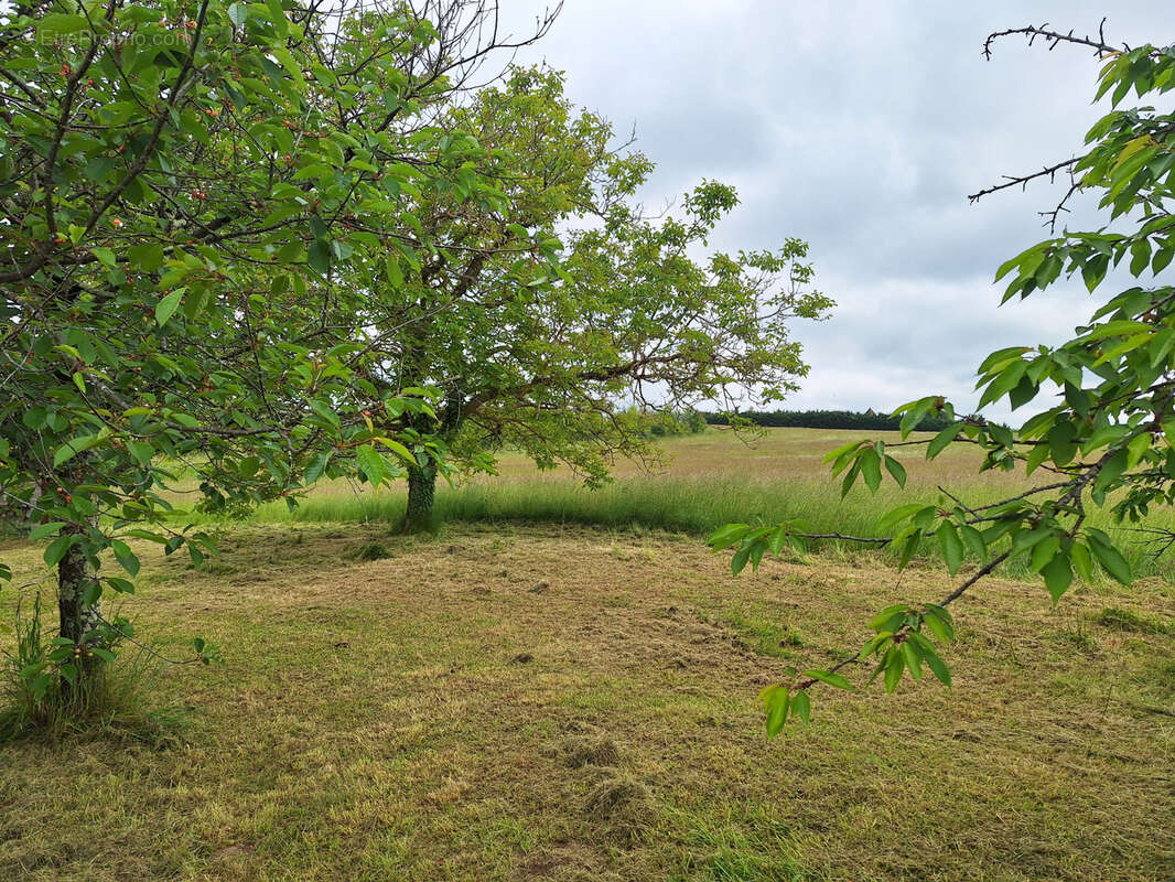 Maison à SAINT-GEORGES