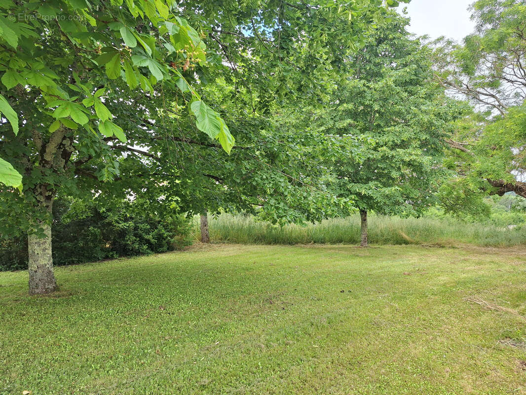 Maison à SAINT-GEORGES