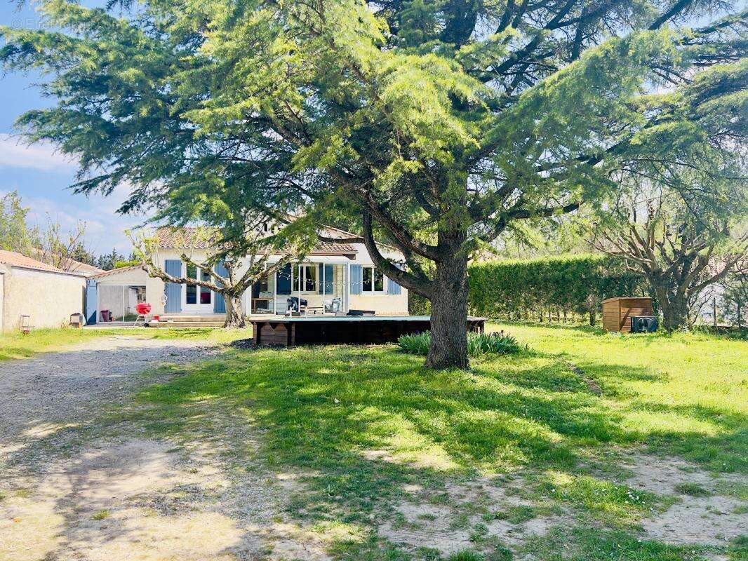 Maison à PERNES-LES-FONTAINES