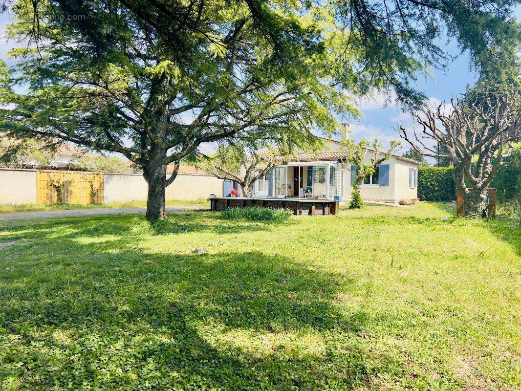Maison à PERNES-LES-FONTAINES