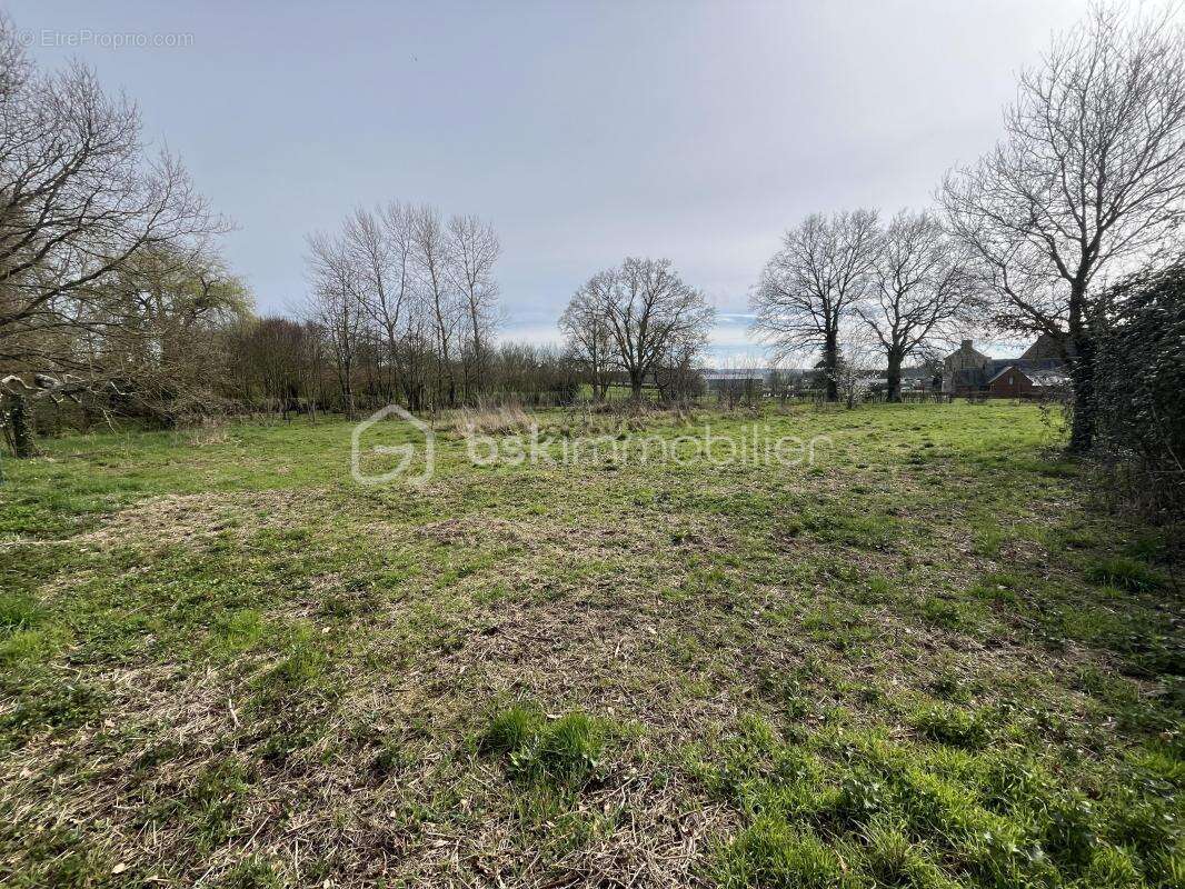 Maison à LA GUERCHE-DE-BRETAGNE