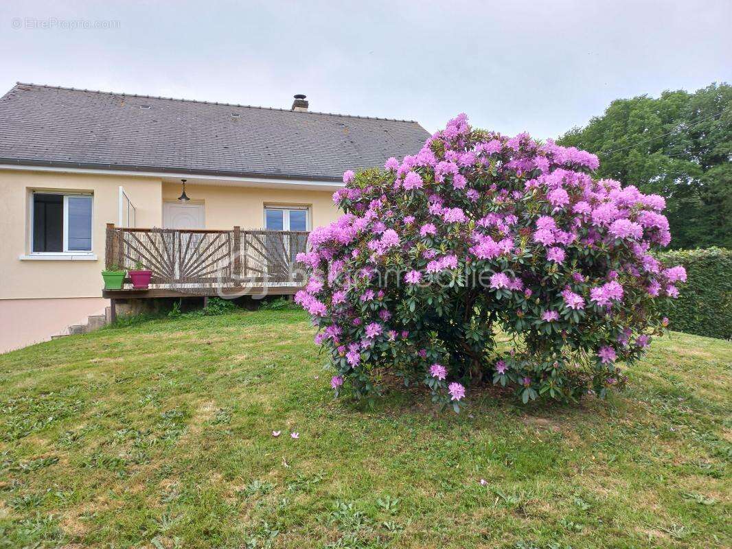 Commerce à MARCILLE-LA-VILLE