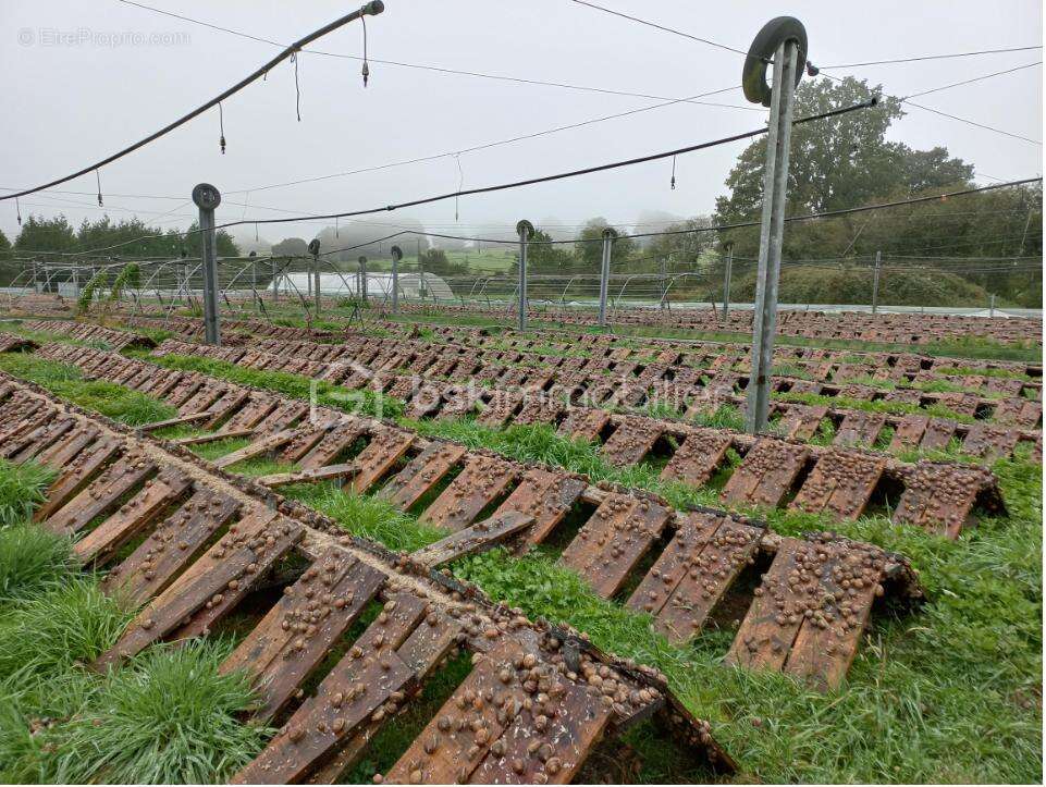Commerce à MARCILLE-LA-VILLE