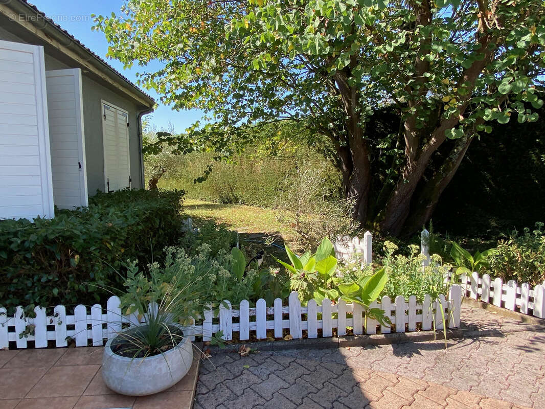 Maison à MONTAGNY-LES-BEAUNE