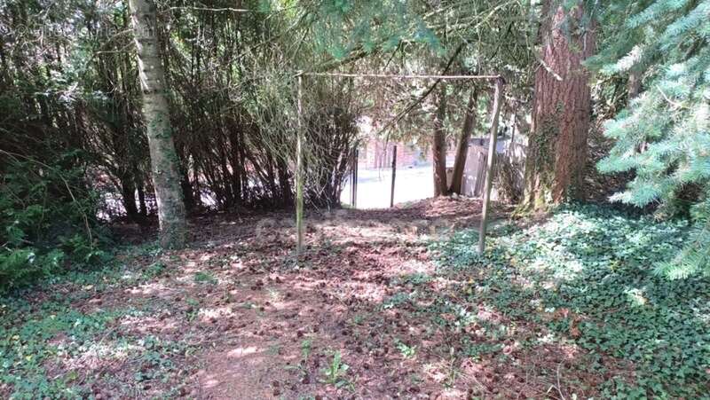 Terrain à BELLECHAUME