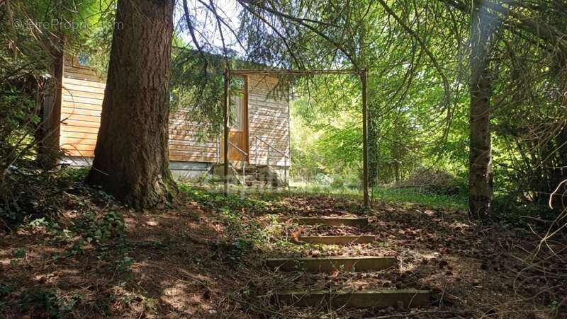 Terrain à BELLECHAUME