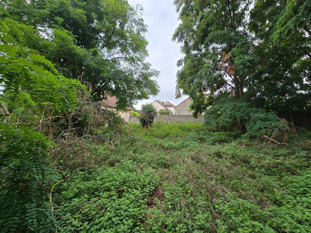 Terrain à LONGPONT-SUR-ORGE