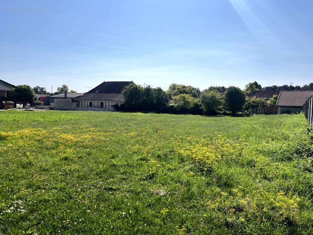 Terrain à LES GRANDES-CHAPELLES
