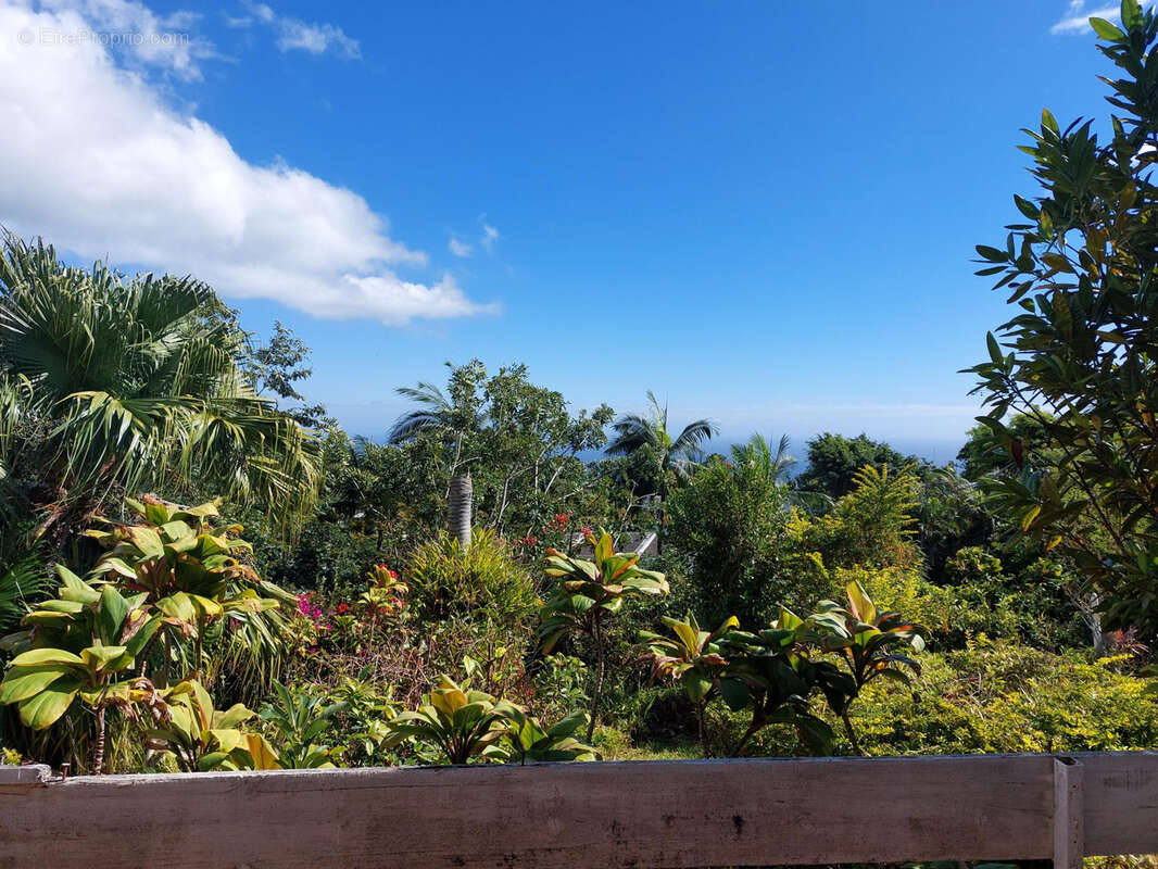 Terrain à SAINT-DENIS