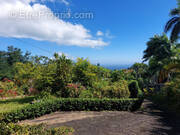 Terrain à SAINT-DENIS