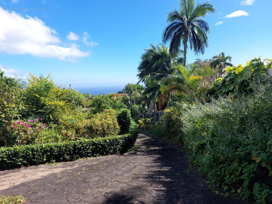 Terrain à SAINT-DENIS