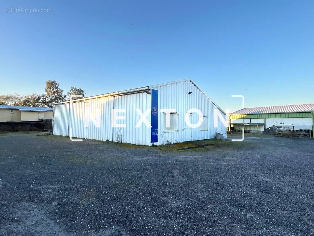 Commerce à ANGRESSE