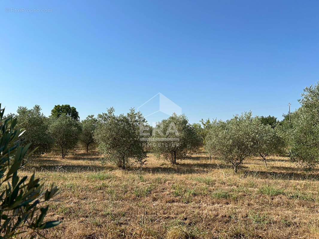 Maison à CARPENTRAS