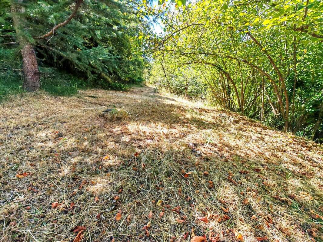 Terrain à SAINT-MARTIN-VESUBIE