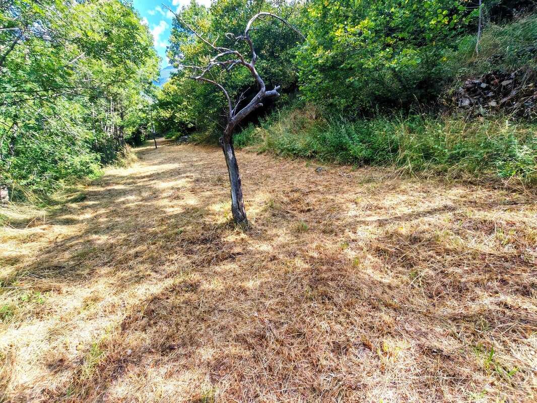 Terrain à SAINT-MARTIN-VESUBIE