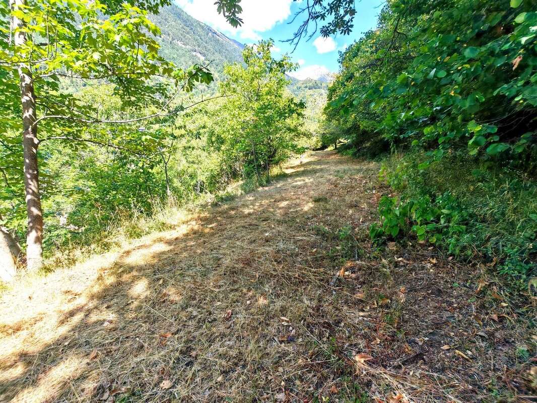 Terrain à SAINT-MARTIN-VESUBIE