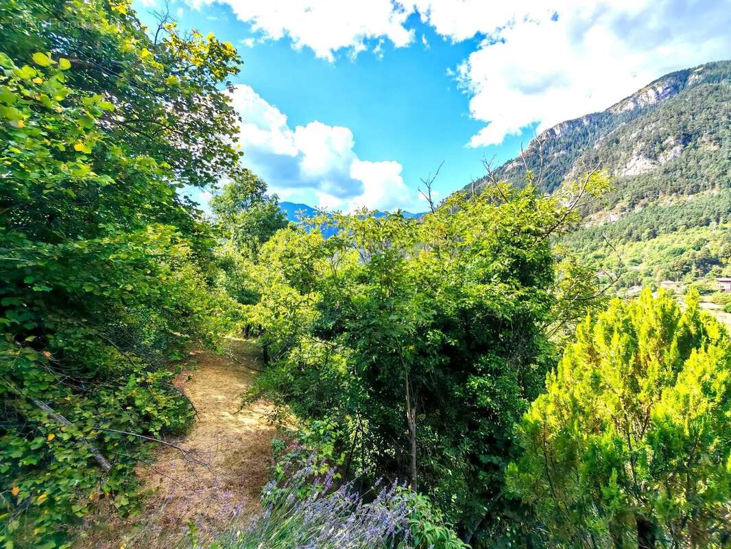 Terrain à SAINT-MARTIN-VESUBIE