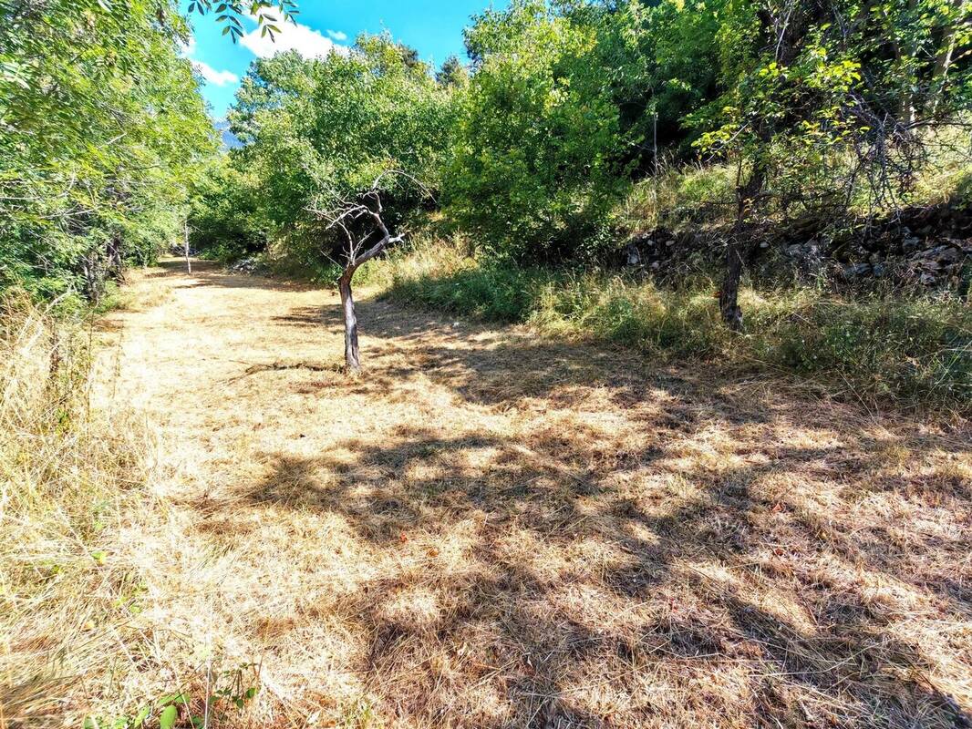 Terrain à SAINT-MARTIN-VESUBIE
