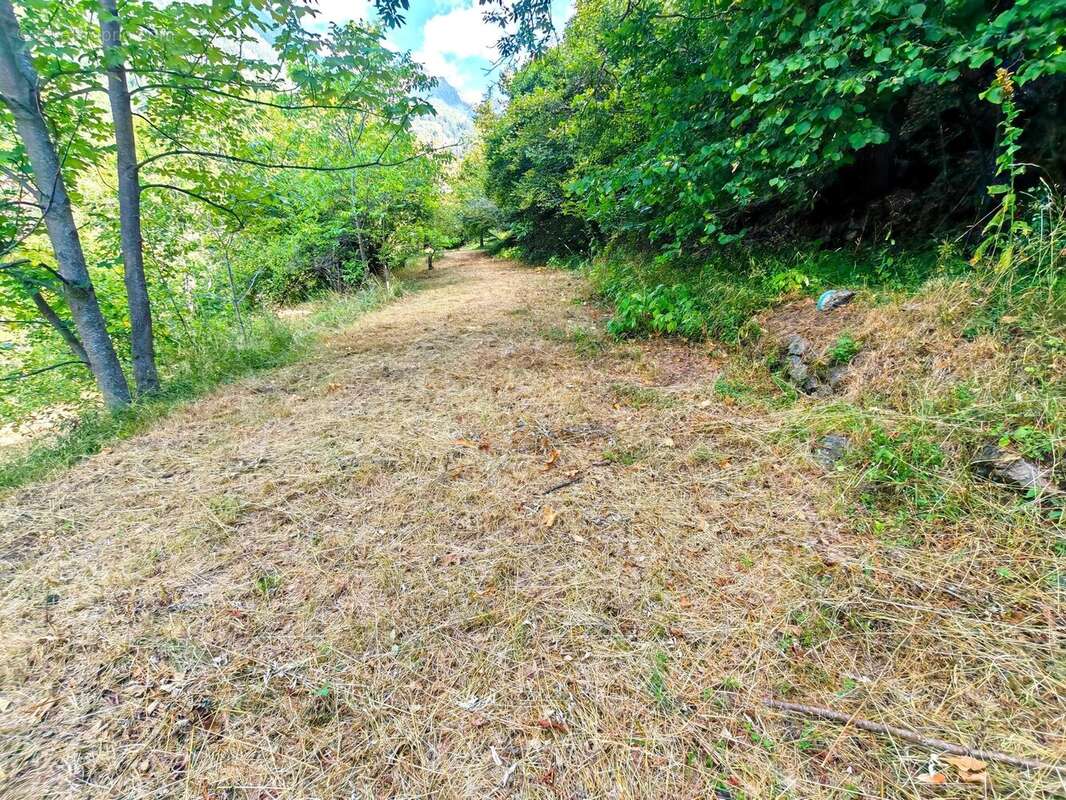 Terrain à SAINT-MARTIN-VESUBIE