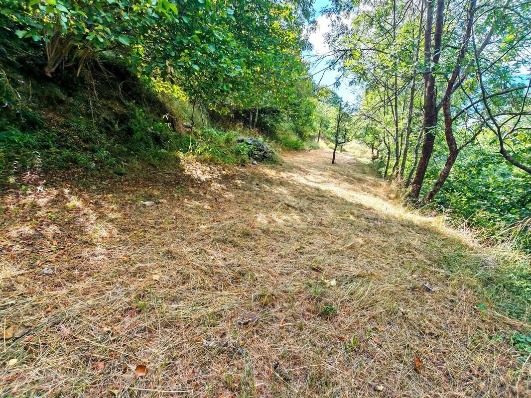 Terrain à SAINT-MARTIN-VESUBIE