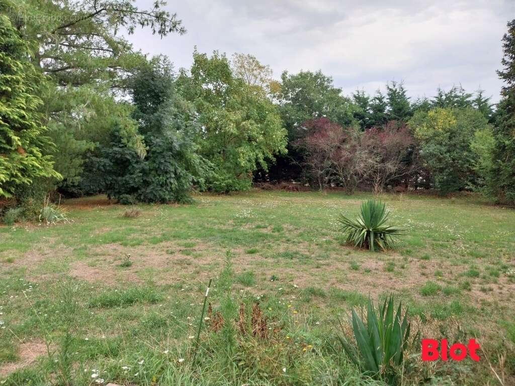 Maison à SION-LES-MINES