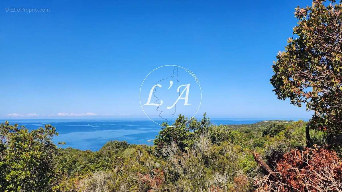 Terrain à COTI-CHIAVARI