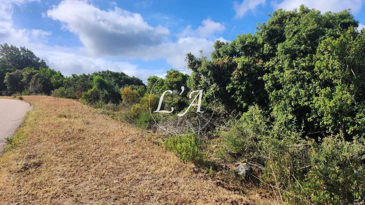 Terrain à COTI-CHIAVARI