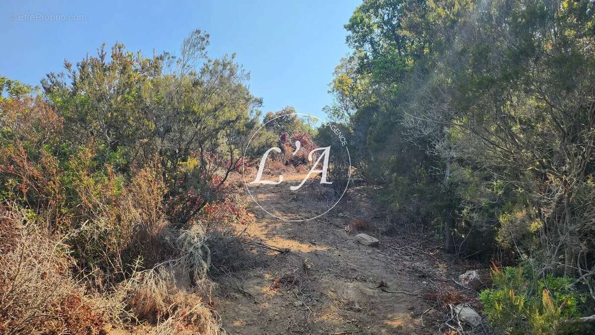 Terrain à COTI-CHIAVARI