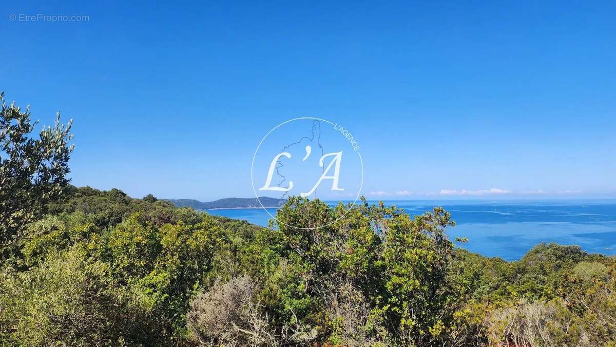 Terrain à COTI-CHIAVARI