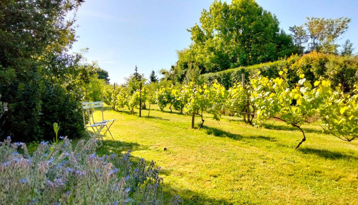 JARDIN - Maison à SAUZE-VAUSSAIS