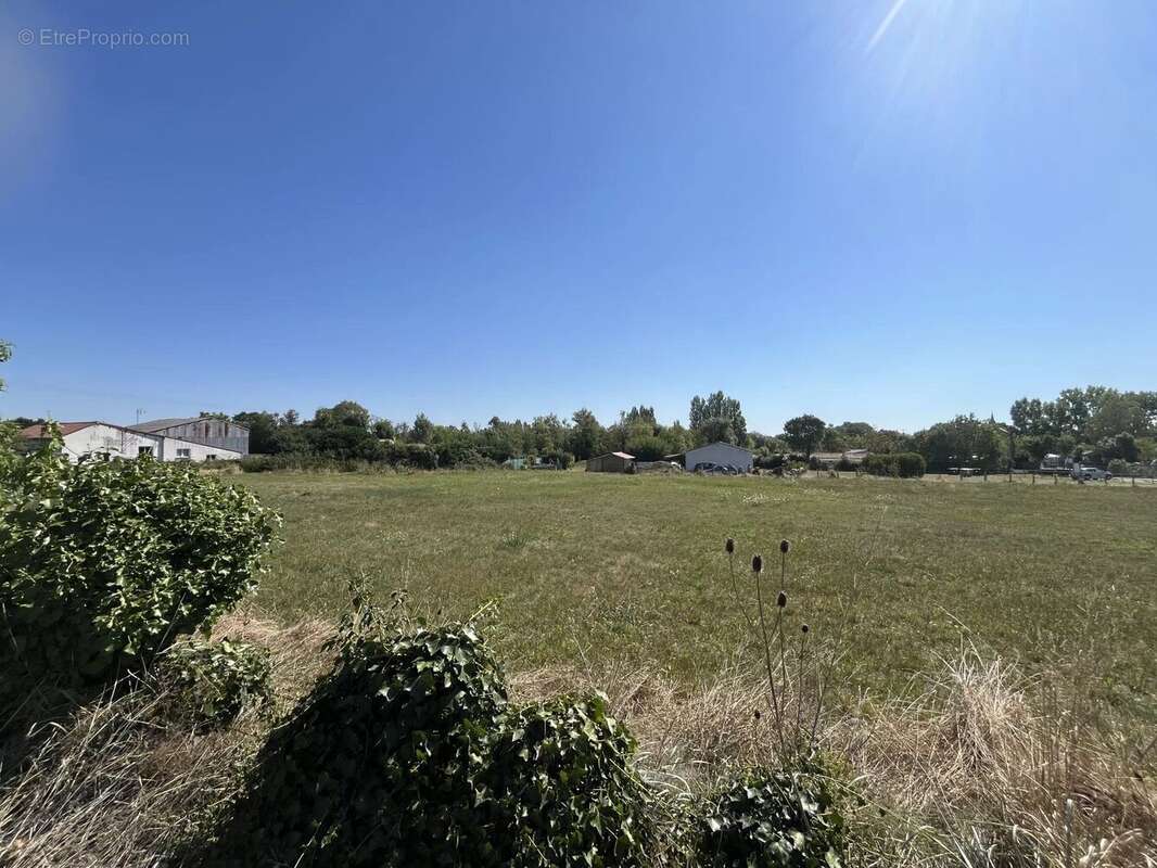 Terrain à LA RONDE