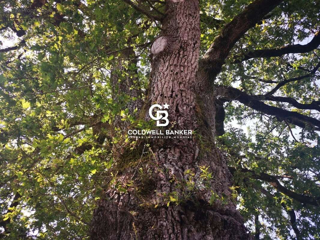 Maison à MOUTIERS-LES-MAUXFAITS