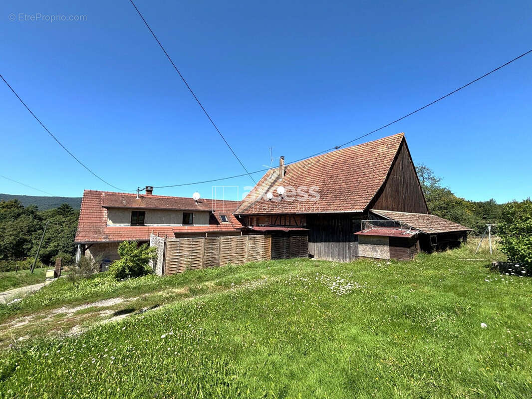 Maison à ZINSWILLER