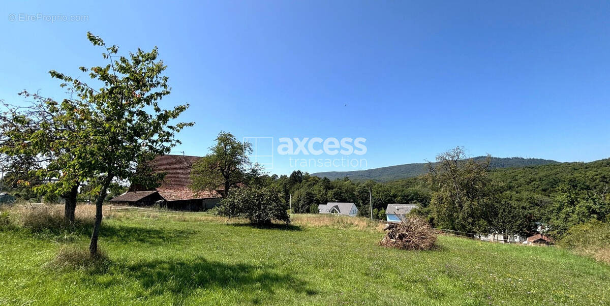 Maison à ZINSWILLER