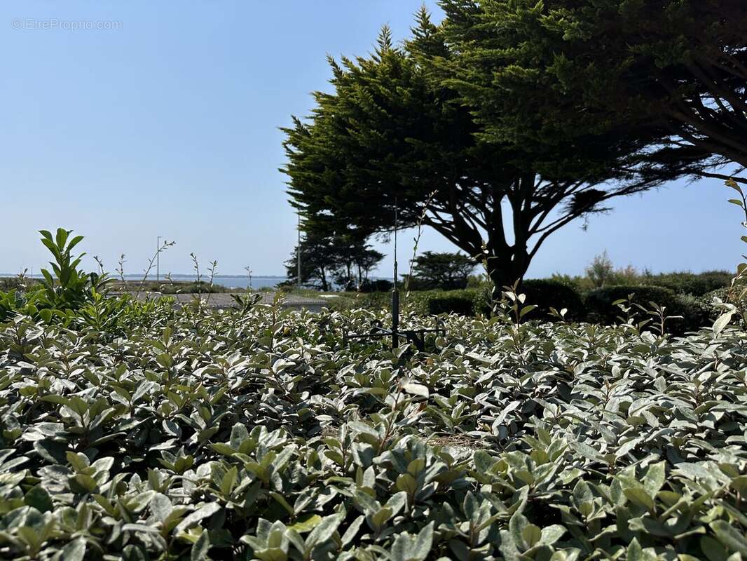 Appartement à PLOEMEUR