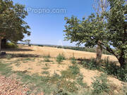 Terrain à L&#039;ISLE-JOURDAIN