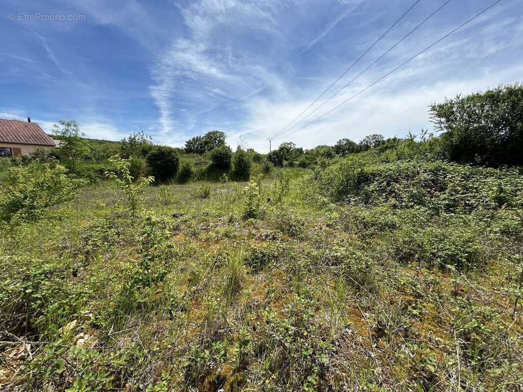 Terrain à OISELAY-ET-GRACHAUX
