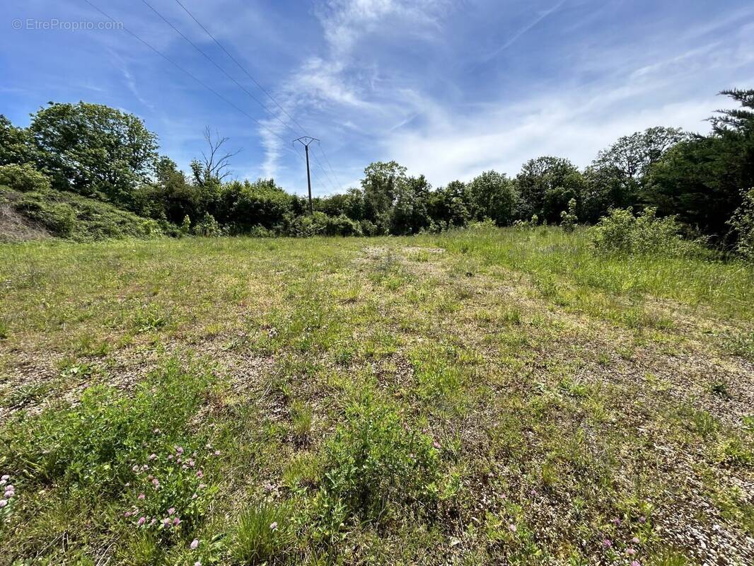 Terrain à OISELAY-ET-GRACHAUX