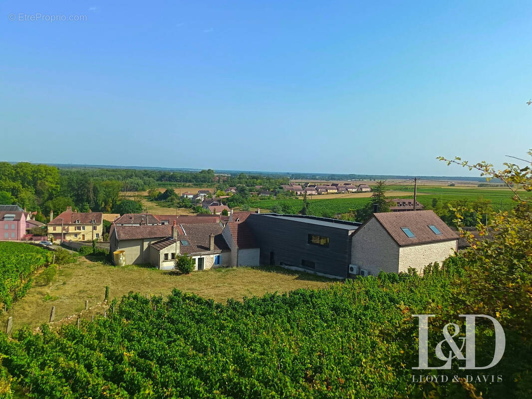 Vue avec la vigne - Maison à NUITS-SAINT-GEORGES