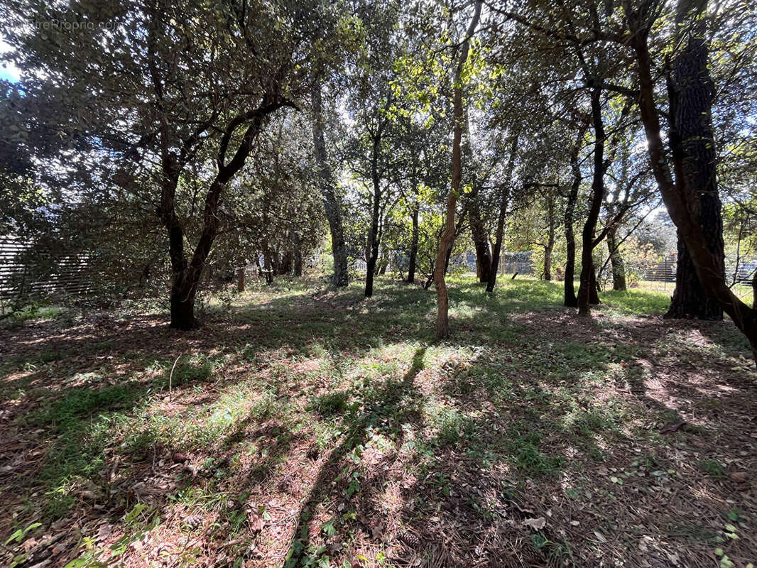 Maison à SOULAC-SUR-MER