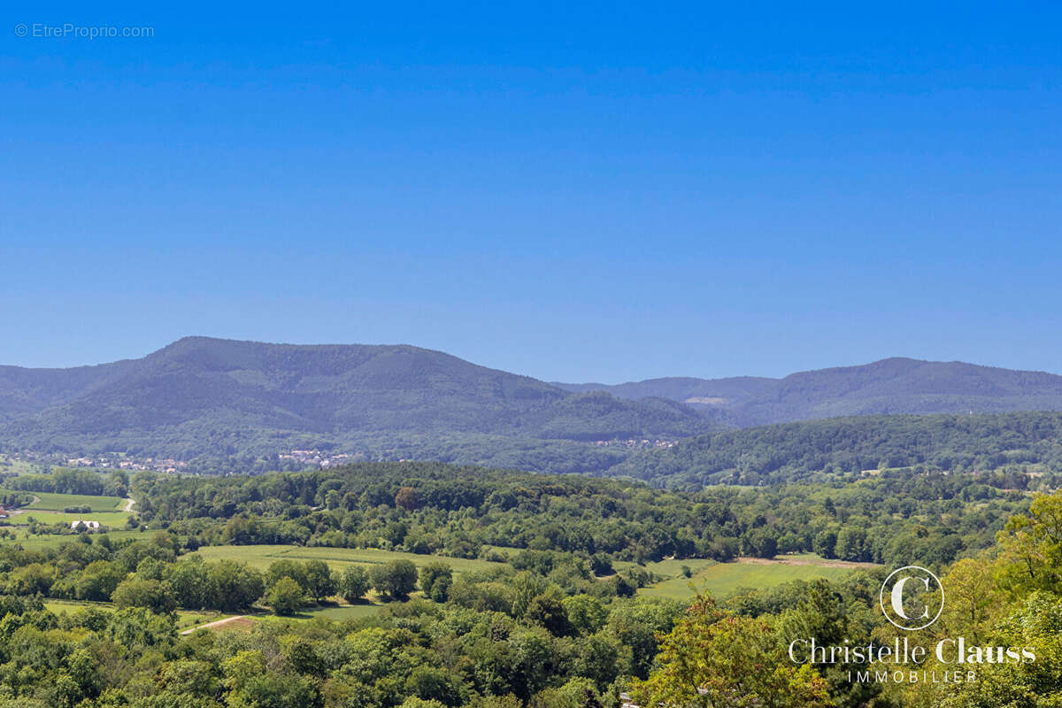 Appartement à OBERNAI