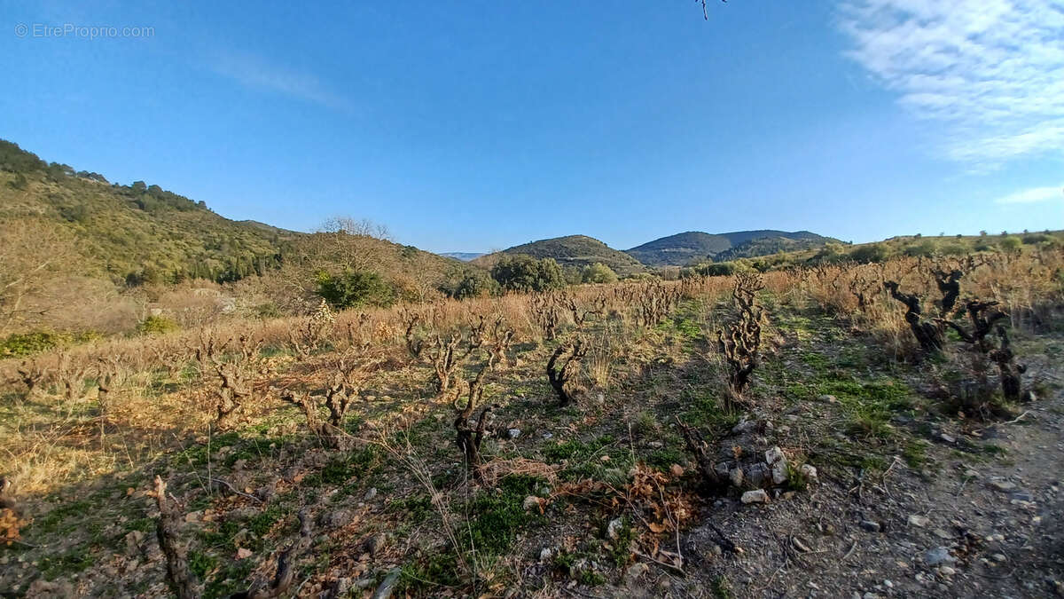 Terrain à VILLENEUVE-LES-CORBIERES