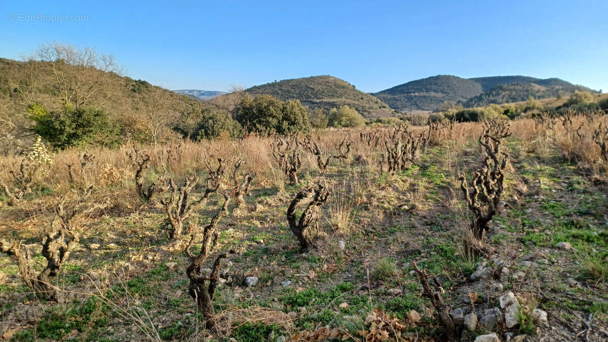 Terrain à VILLENEUVE-LES-CORBIERES
