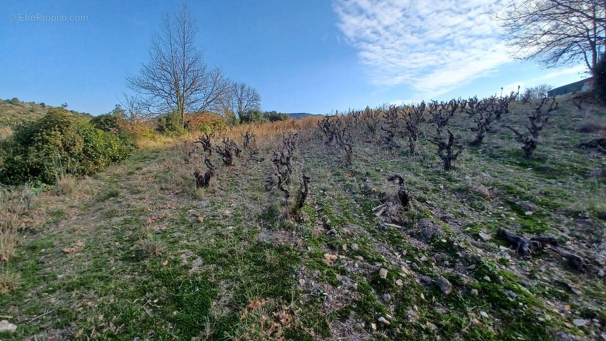 Terrain à VILLENEUVE-LES-CORBIERES