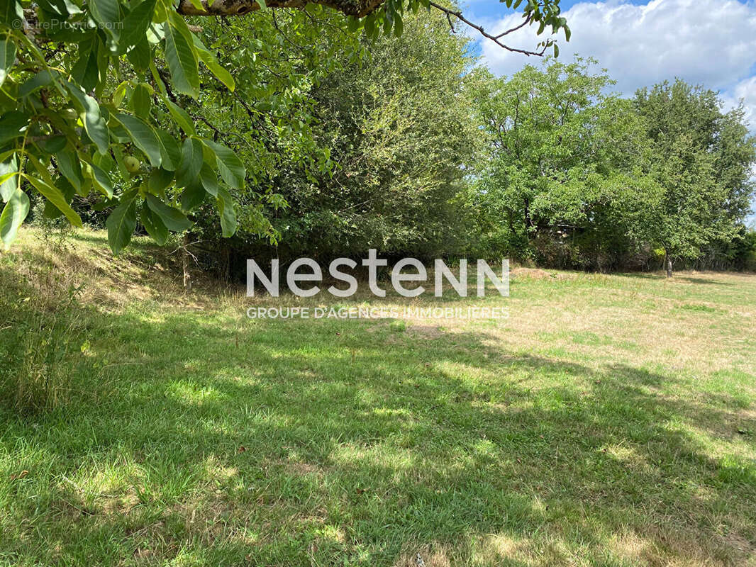 Maison à CHAMPS-ROMAIN