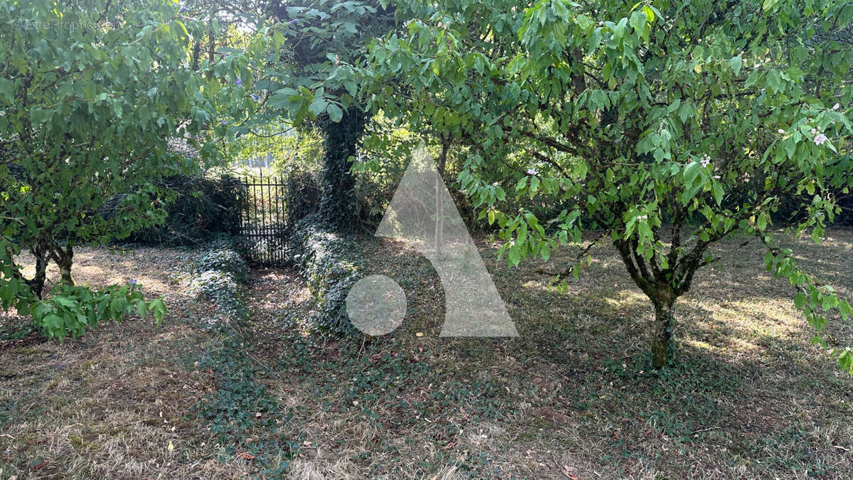 Maison à CELLES-SUR-BELLE