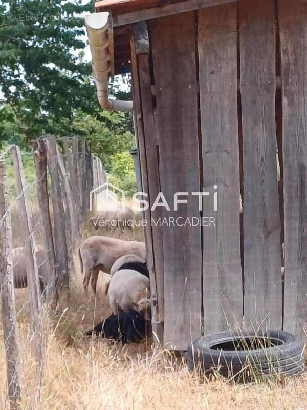 Photo 7 - Maison à BROSSAC