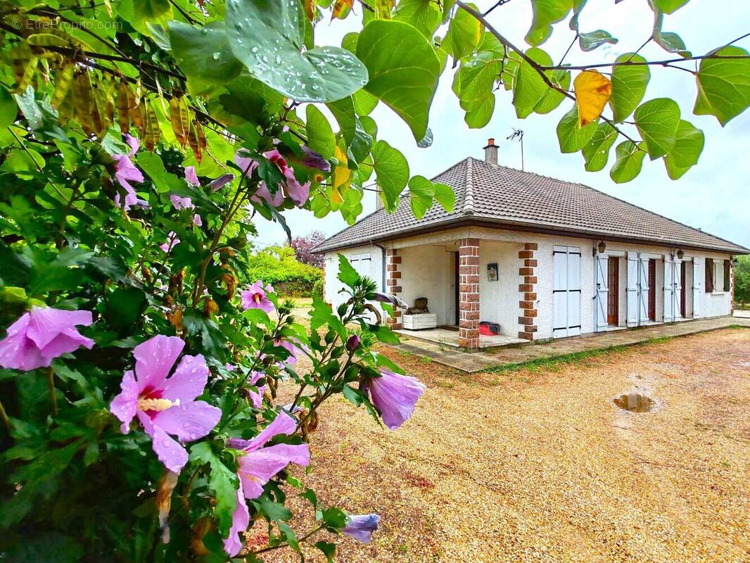 Photo 1 - Maison à LA FLECHE